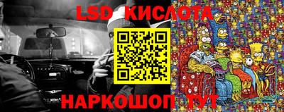 прущие грибы Пугачёв