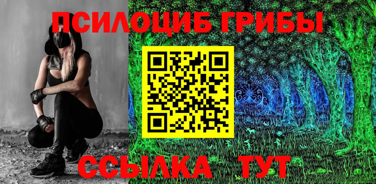 Псилоцибиновые грибы GOLDEN TEACHER Сорочинск