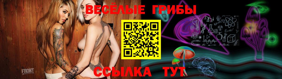 Сорочинск  Псилоцибиновые грибы MAGIC MUSHROOMS  Галлюциногенные грибы MAGIC MUSHROOMS  Вход с VPN 